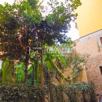 Appartamento a Bologna Via Orfeo 1 locali