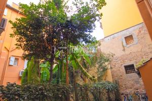 Appartamento a Bologna Via Orfeo 1 locali