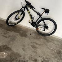 Mtb bottecchia 29 L