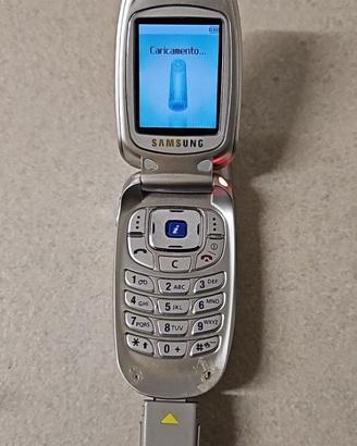 SAMSUNG SGH-X450