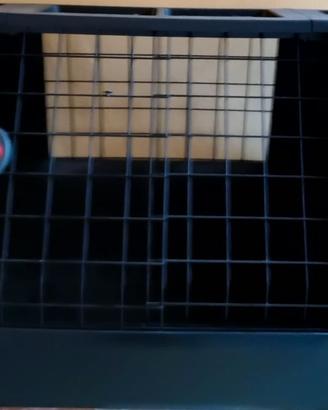 Trasportino kennel cane taglia media