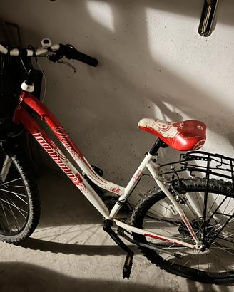 Bici lombardo