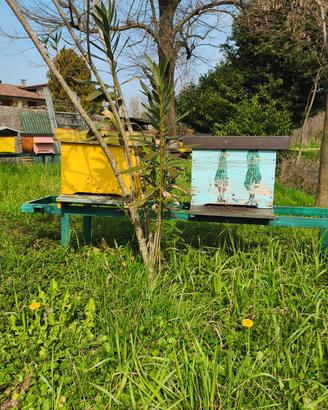 Famiglie api carniche