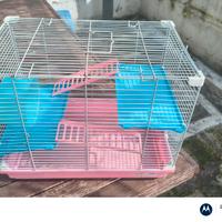 gabbia Criceto completa