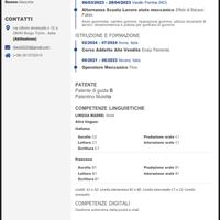 Addetto vendite o magazziniere o altro