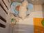 Immagine 3