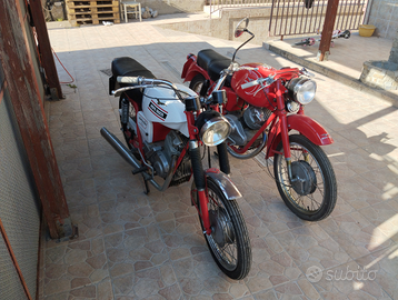 Coppia splendide Motoguzzi