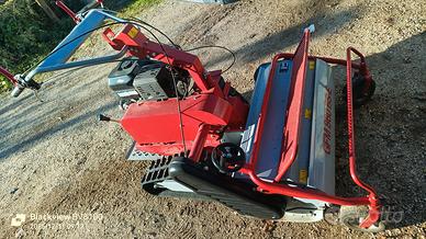 Trincia cingolata motore Briggs Stratton perfetta 