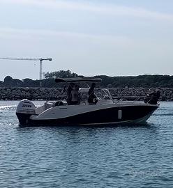 Walkaround Quicksilver