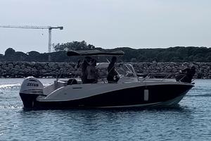 Walkaround Quicksilver