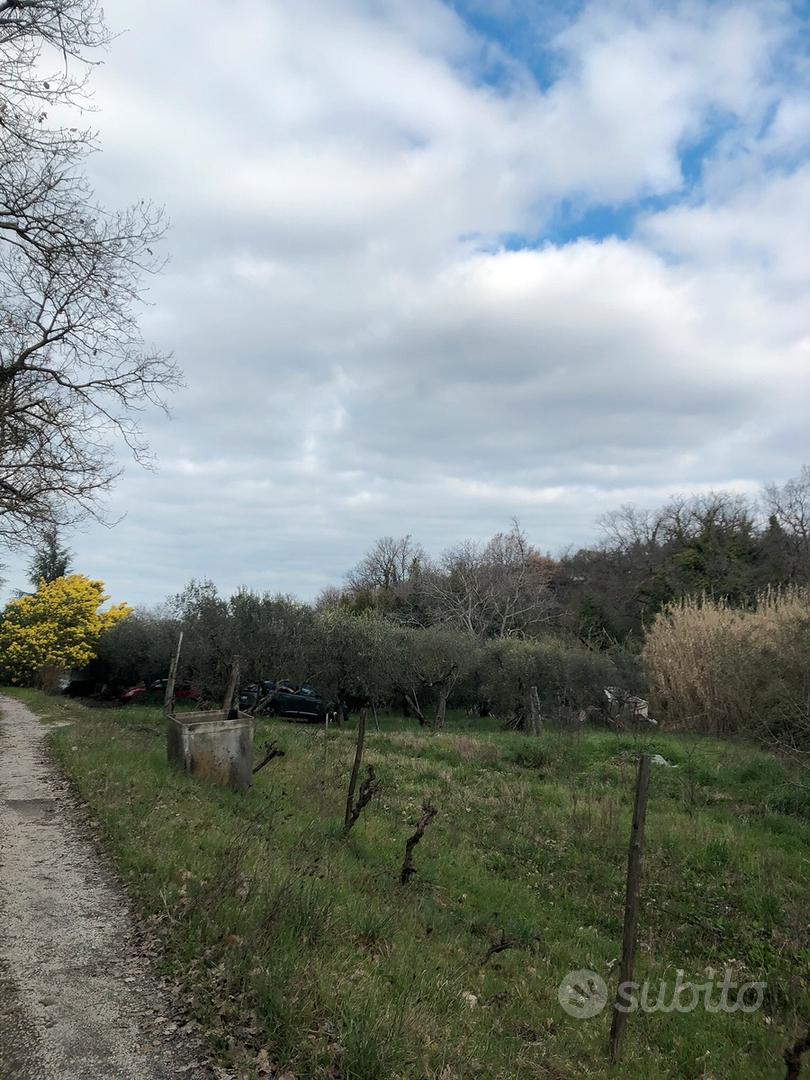Terreno agricolo - Vista 2