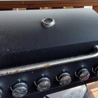 Bbq a gas 6 fuochi