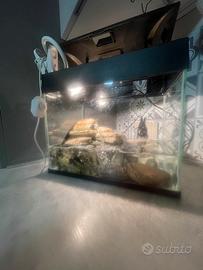 Acquario .. per tartaruga