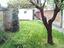 Immagine 20