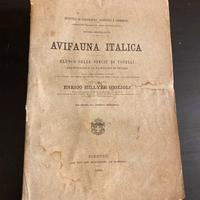 Avifauna italica