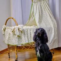 Culla in vimini con rotelle