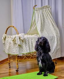 Culla in vimini con rotelle