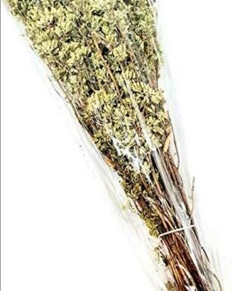 Sacchetti buste trasparenti per origano