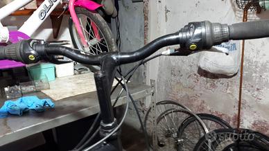 bicicletta mtb