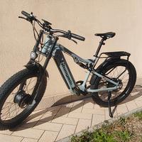 ebike