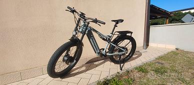 ebike