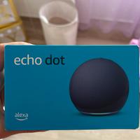 Echo dot Alexa