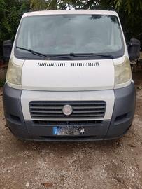 ducato maxi