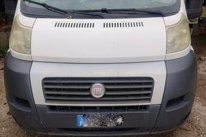 ducato maxi
