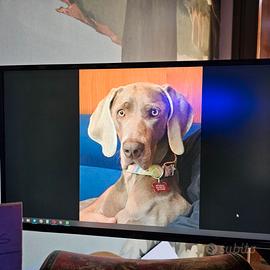 pc desktop