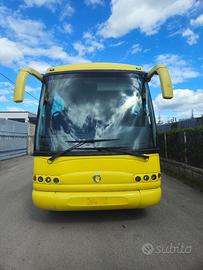Iris Autobus