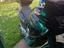 Immagine 1