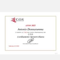 Massaggiatore esperto