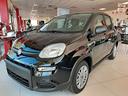 fiat-panda-1-0-firefly-s-s-hybrid