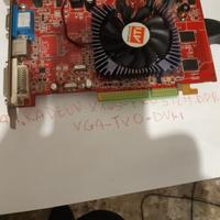 scheda video ddr3 pro