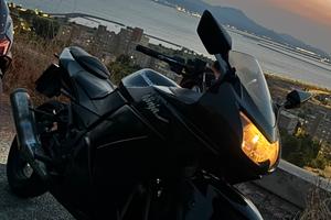 Kawasaki Ninja 250R