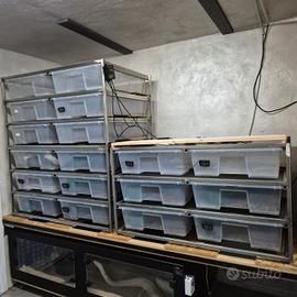 rack serpenti 