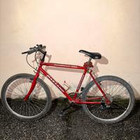 Bicicletta Marzano