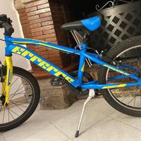 Bicicletta errerre - 20