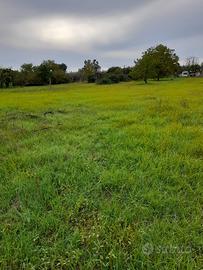 Terreno con rustico