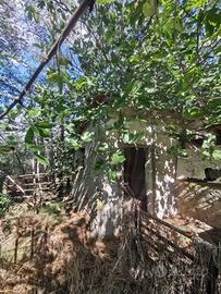 Terreno di 30565 m² a Cerveteri