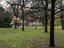 Immagine 22
