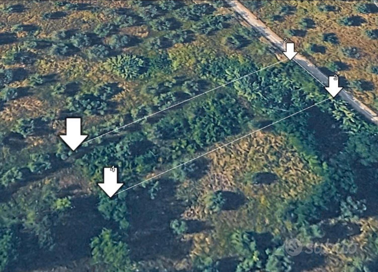 Terreno agricolo pianeggiante 2500 mq Morlupo Rom - Vista 4