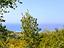 Immagine 17