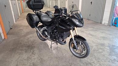 Triumph tiger 1050 full optional 