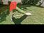 Immagine 3