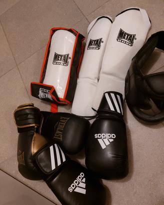 Guantoni parastinchi e casco