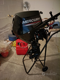 Mercury For stroke 20 cv