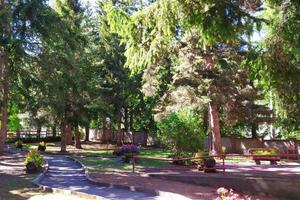 BILOCALE CON POSTO AUTO