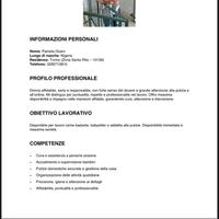 Pulizie/babysitter/badante