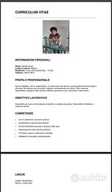 Pulizie/babysitter/badante